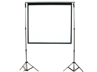 Elektr. Leinwand 3,50 m