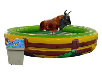 Bullriding inkl. Personal 4 Stunden
