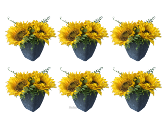 Sonnenblumen 6er Set
