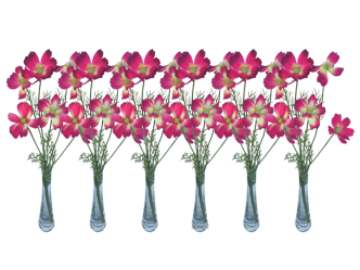 Schmuckkörbchen pink 6er Set
